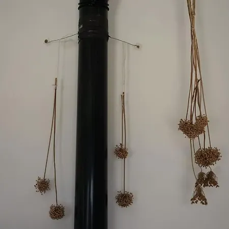 Artemis Livadi (Kythira)